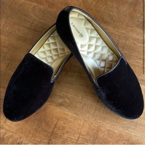 Black Velvet Starling Birdies!